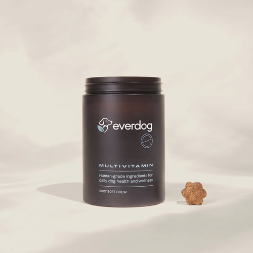 Everdog Multivitamin jar with a soft chew